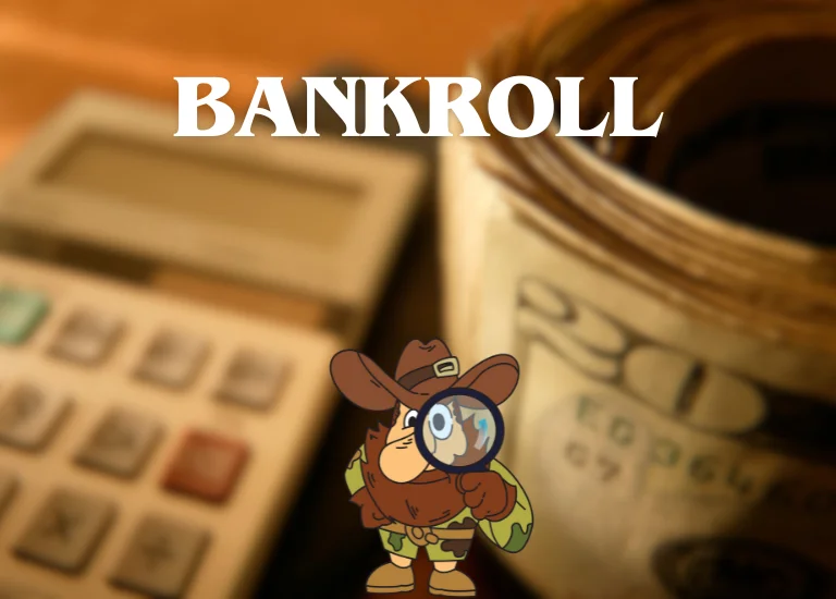 bankroll bankroll